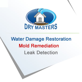 Water & Mold restoration Plantation